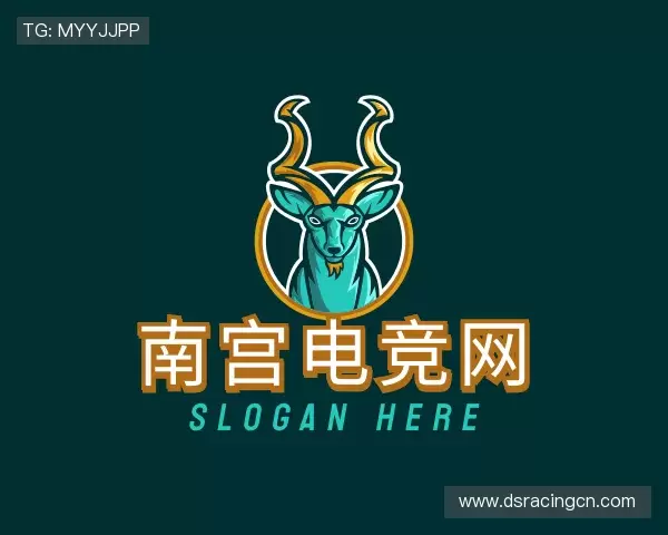 解读南宫电竞