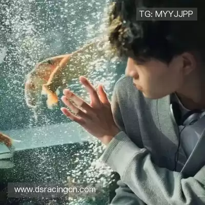 贺澄或